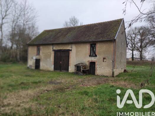 Propriété de loisirs à vendre 50 000 € 12 000 m² de terrain Coullons 45720
