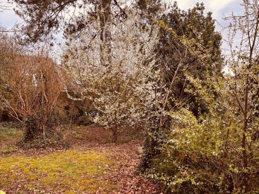 Terrain constructible à vendre 69 000 € 475 m² de terrain Jonchery-sur-Vesle 51140