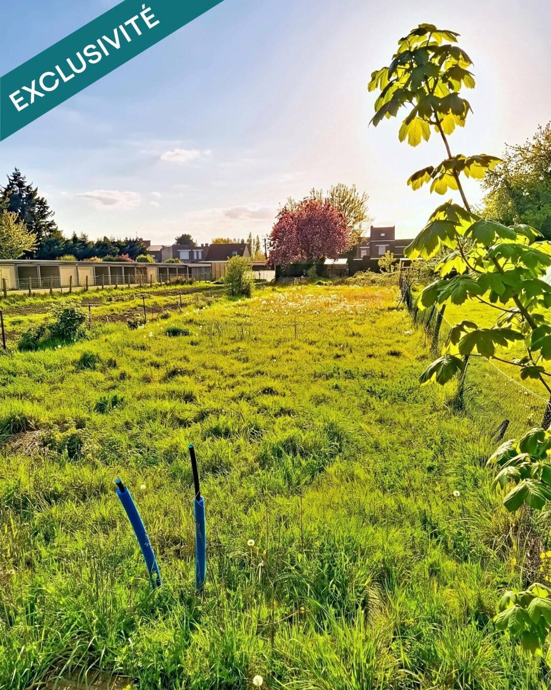 Terrain de 499 m² à La Bassée - photo 2