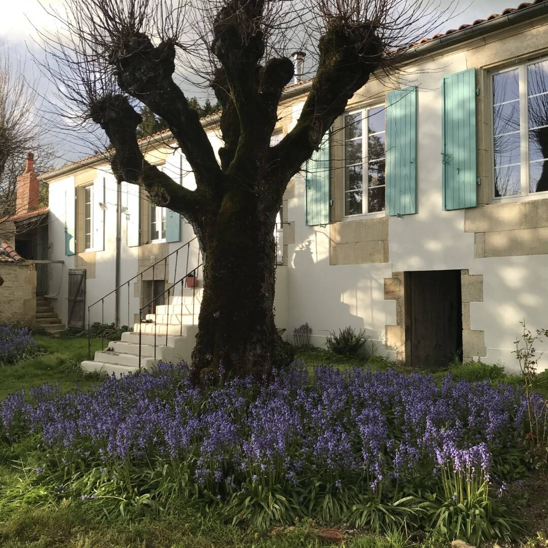 Maison 7 pièces 158 m² · à Chaillé-les-Marais · 158 m² · 259 500 €
