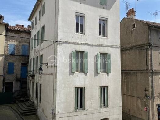 Immeuble à vendre 190 000 € 255 m² Saint-Pons-de-Thomières 34220