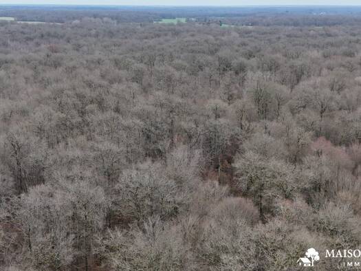 Propriété de loisirs à vendre 400 000 € 380 335 m² de terrain Ouzouer-sur-Trézée 45250