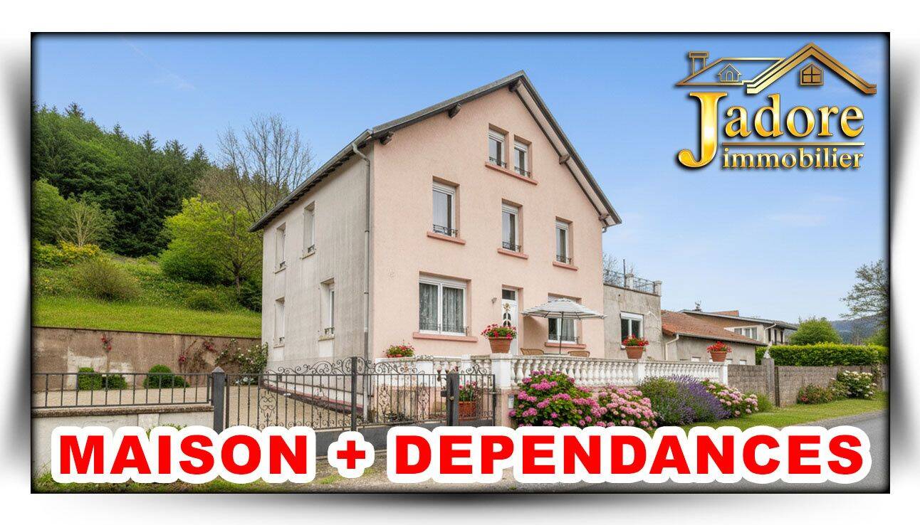 Maison 7 pièces 240 m² · à Lusse · 240 m² · 229 000 €