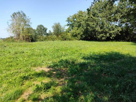 Terrain constructible à vendre 42 500 € 1 123 m² de terrain Tesson 17460