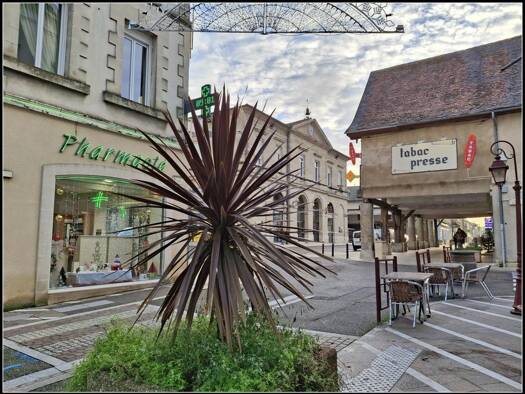 Maison de ville à vendre 49 900 € 5 pièces 2 chambres 69 m² 42 m² de terrain Miramont-de-Guyenne 47800