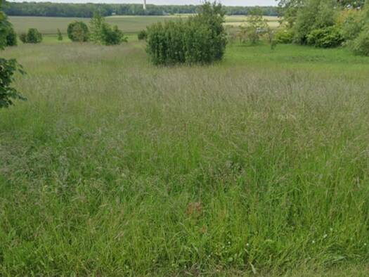 Terrain constructible à vendre 22 400 € 1 121 m² de terrain Briou 41370