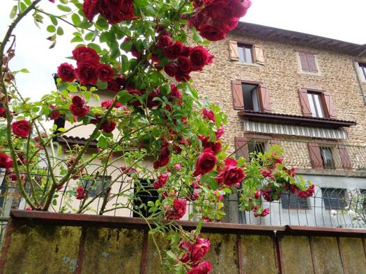 Maison à vendre 198 000 € 7 pièces 4 chambres 126 m² 675 m² de terrain Chambost-Allières 69870