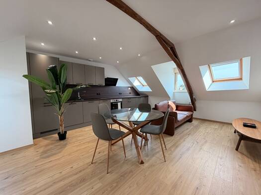 Appartement à louer 625 € 3 pièces 2 chambres 45 m² Étage 3/3 Sillé-le-Guillaume 72140