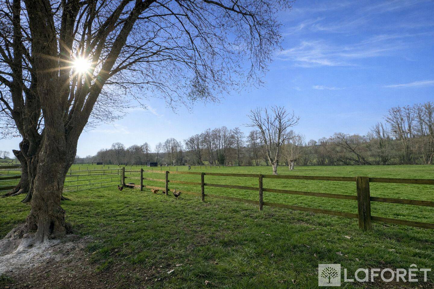 Maison 6 pièces 170 m² · à Moulins-la-Marche · 170 m² · 449 925 €