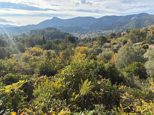 Terrain à vendre 319 000 € 10 064 m² de terrain Roquevaire 13360