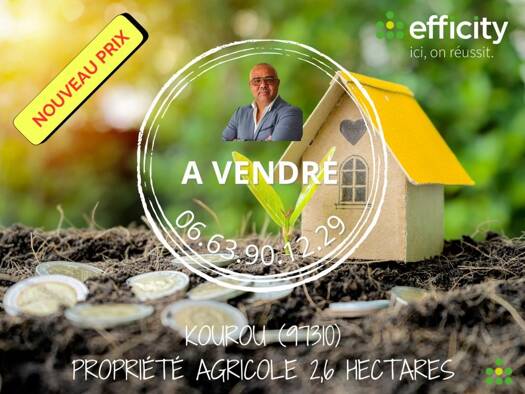 Terrain constructible viabilisé à vendre 695 000 € 25 857 m² de terrain Kourou 97310