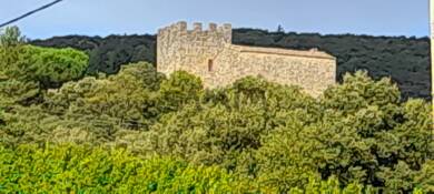 Château à vendre 399 000 € 9 pièces 6 chambres 130 m² 14 000 m² de terrain Soudorgues 30460