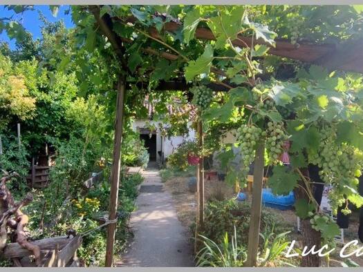 Immeuble à vendre 225 000 € 350 m² Saint-Paul-Cap-de-Joux 81220