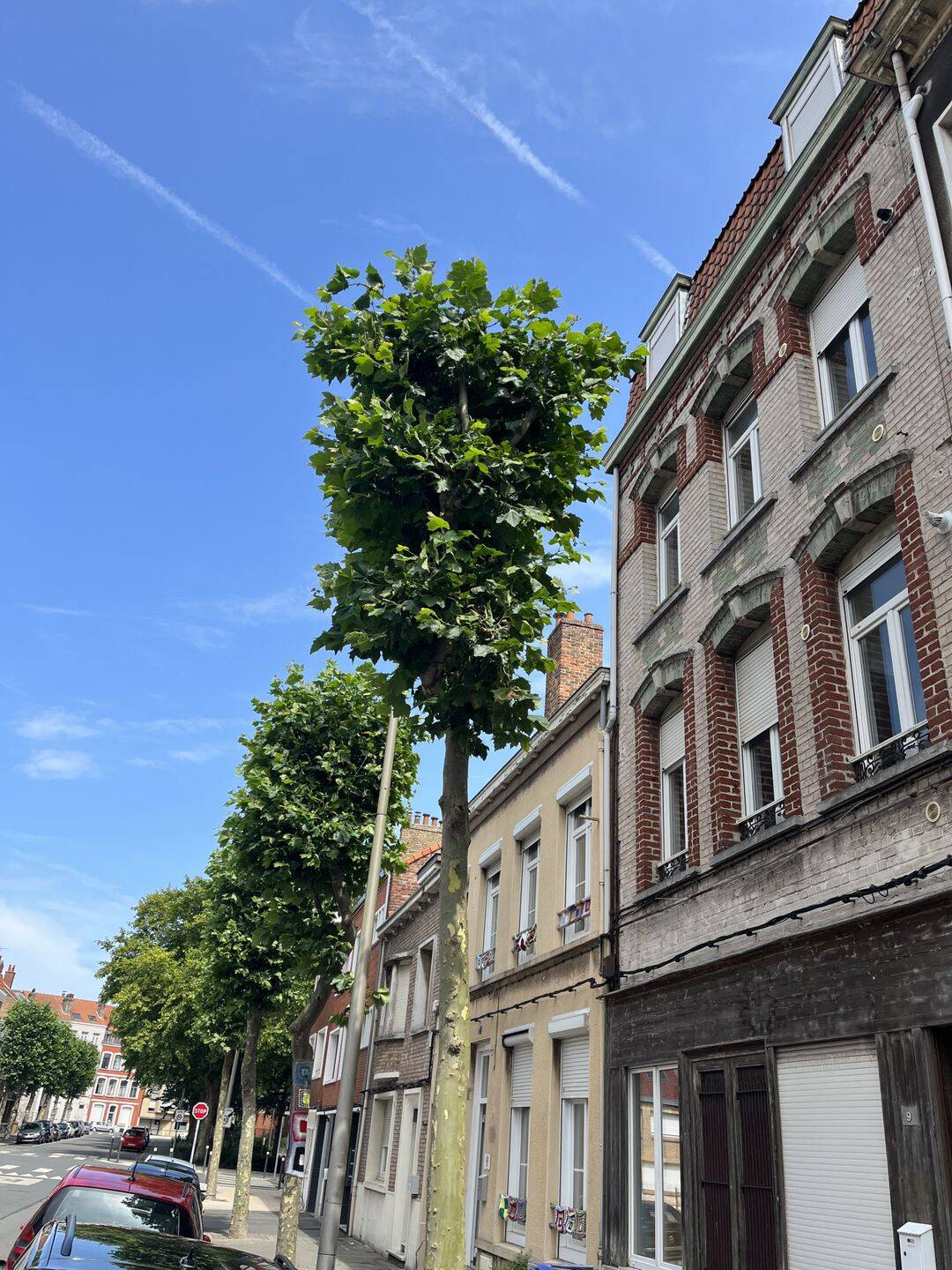Appartement 2 pièces 41 m² · à Dunkerque · 40,9 m² · 85 000 €