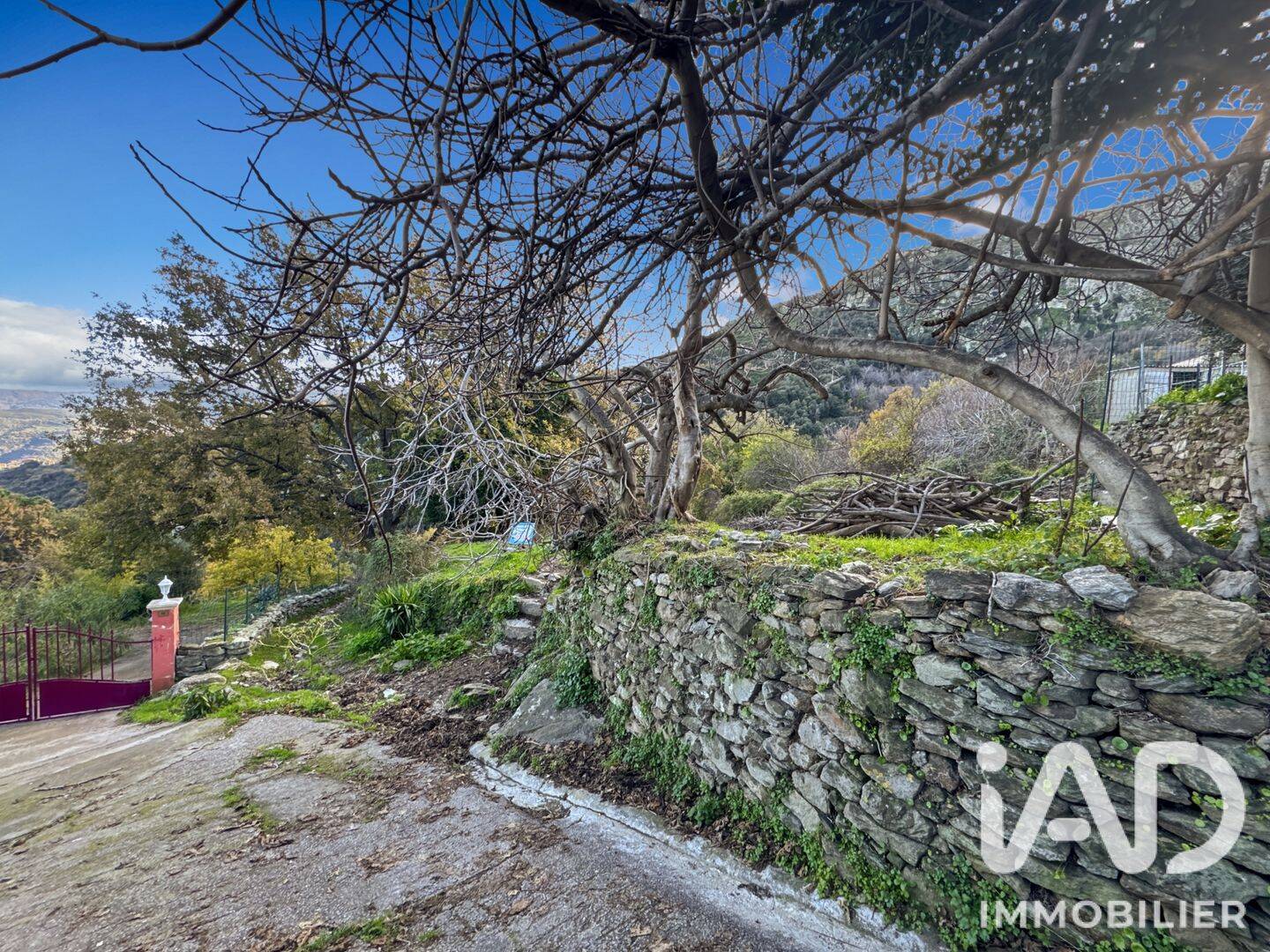 Terrain de 842 m² à Santo-Pietro-di-Tenda - photo 2