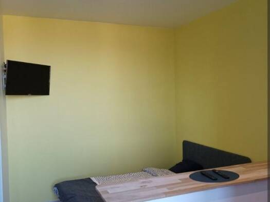 Appartement à louer 450 € 1 pièce 18 m² RDC Tarentaize-Beaubrun-Severine Saint-Étienne 42100