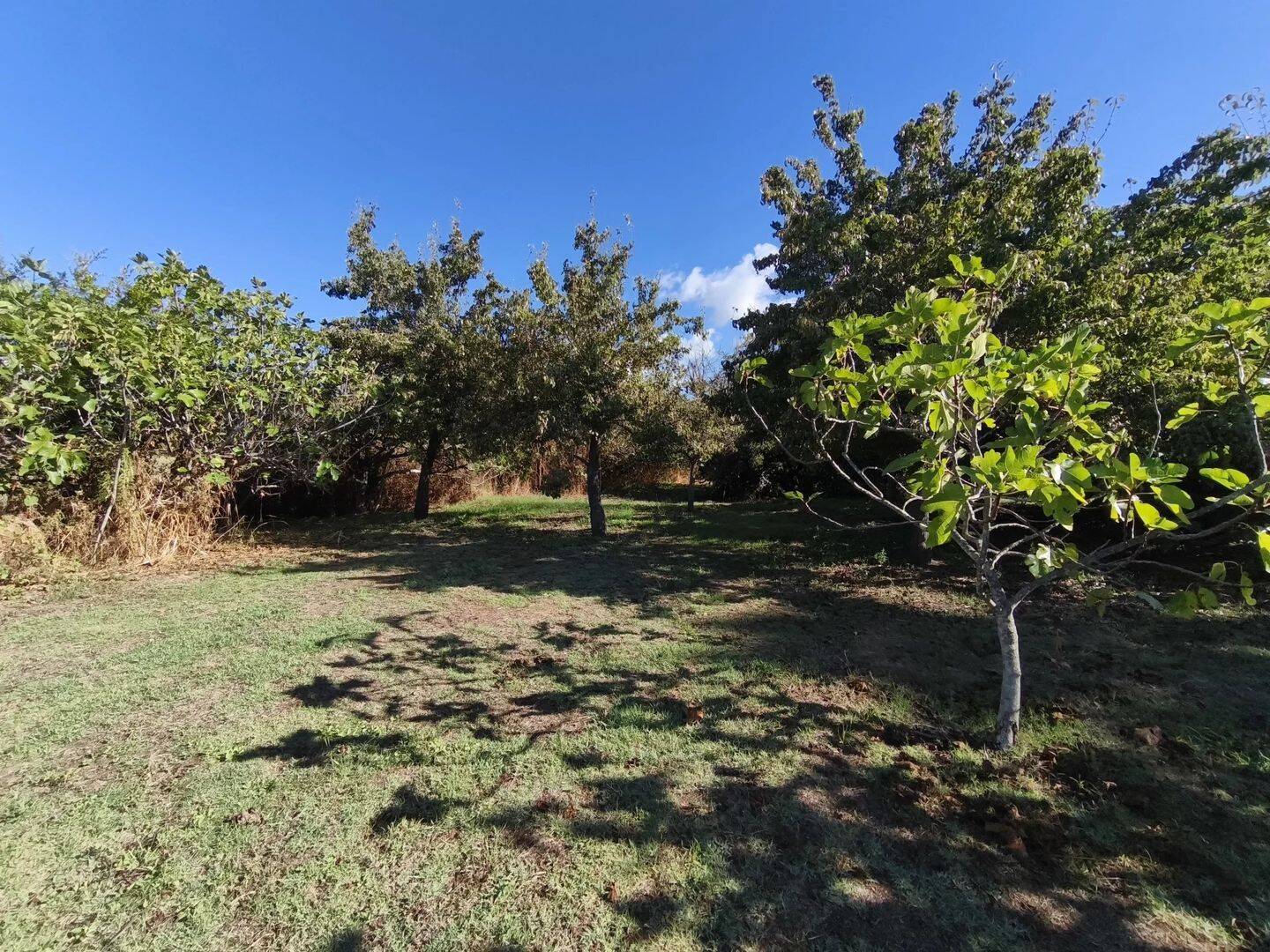 Terrain de 985 m² à Ajaccio - photo 2