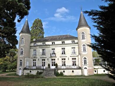 Château à vendre 1 554 000 € 17 pièces 11 chambres 1 169 m² 45 000 m² de terrain Tournon-Saint-Pierre 37290