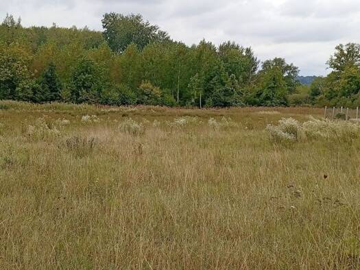 Terrain constructible à vendre 44 000 € 900 m² de terrain Berny-Rivière 02290