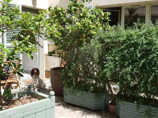 Maison de ville à louer 3 849 € 5 pièces 4 chambres 160 m² Versailles 78000