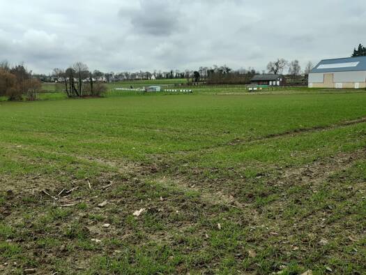 Terrain constructible à vendre 65 256 € 462 m² de terrain Meillac 35270