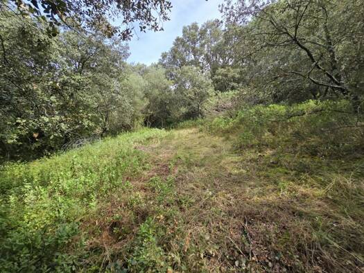 Terrain constructible à vendre 267 500 € 2 630 m² de terrain Nord Uzès 30700