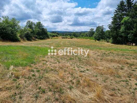 Terrain à vendre 69 000 € 4 460 m² de terrain Blavignac 48200