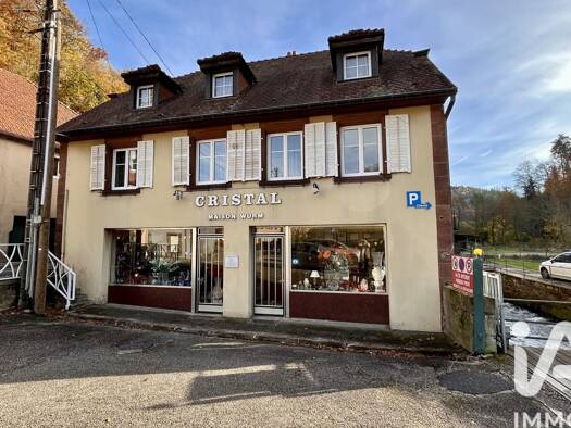 Immeuble à vendre 319 000 € 500 m² Lutzelbourg 57820