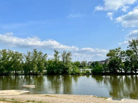 Maison de ville à vendre 540 000 € 8 pièces 5 chambres 180 m² 50 m² de terrain Bourgogne-Châtelet Orléans 45000