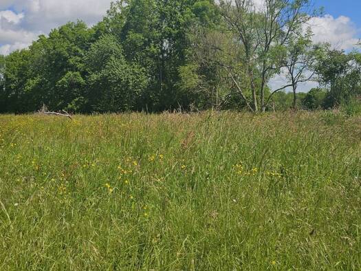 Terrain constructible à vendre 39 000 € 5 181 m² de terrain Franquevielle 31210