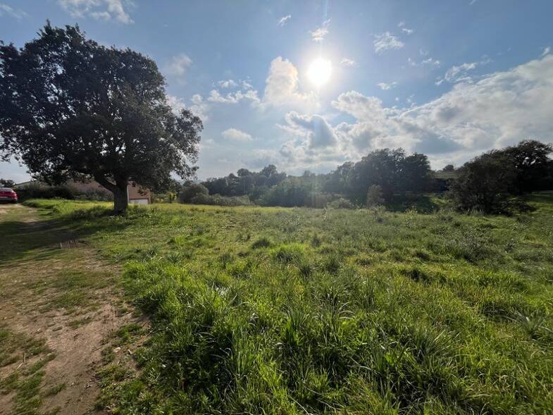 Terrain constructible à vendre 165 000 € 1 490 m² de terrain Aléria 20270