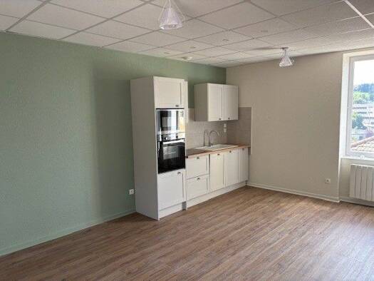 Appartement à louer 520 € 3 pièces 2 chambres 63 m² Étage 1/1 Thizy-les-Bourgs 69240