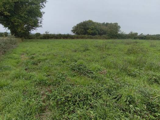 Terrain constructible à vendre 45 000 € 4 300 m² de terrain Ceaulmont 36200