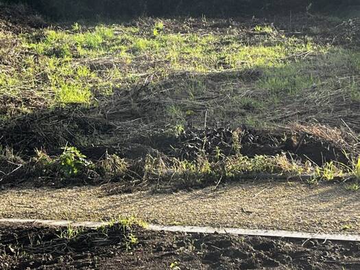 Terrain constructible viabilisé à vendre 149 000 € 574 m² de terrain Roscoff 29680