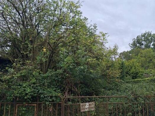 Propriété de loisirs à vendre 46 000 € Embry 62990