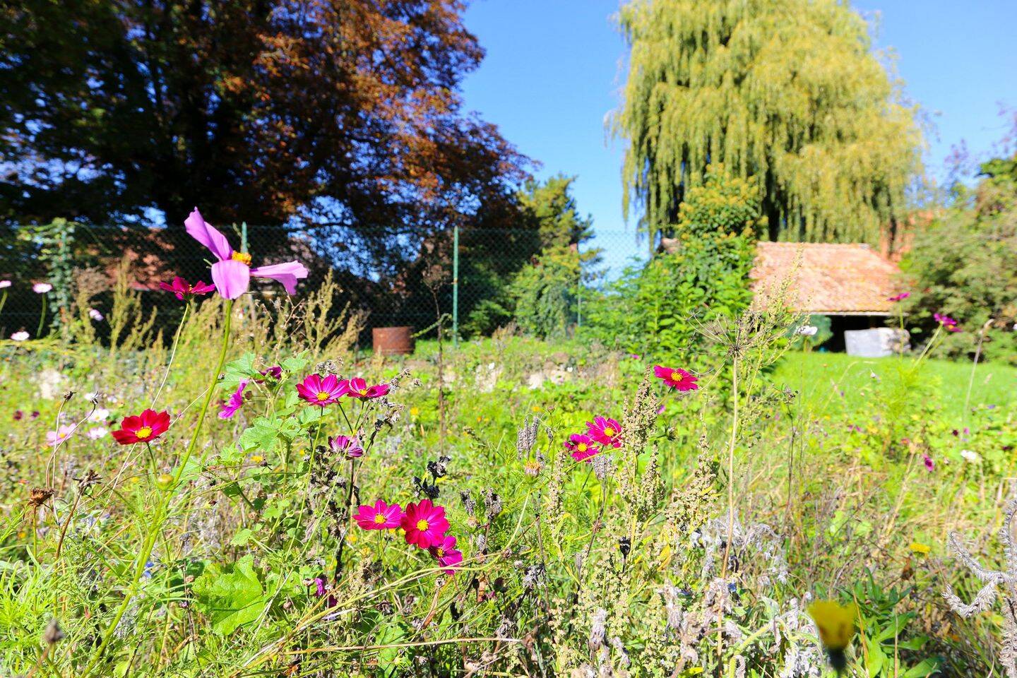 Maison 10 pièces 277 m² · à Jebsheim · 277 m² · 581 203 €