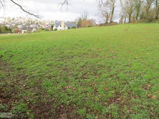 Terrain constructible viabilisé à vendre 39 000 € 1 220 m² de terrain Vire Normandie 14500