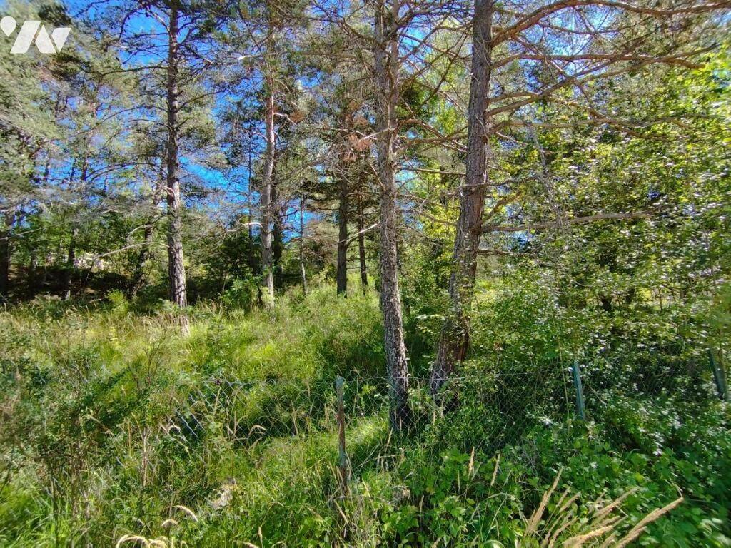Terrain de 917 m² à Seyne - photo 2