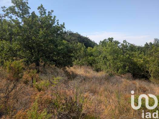 Terrain à vendre 25 000 € 6 500 m² de terrain Maureillas-las-Illas 66480