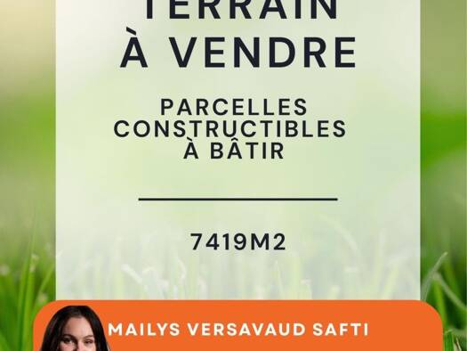 Terrain constructible à vendre 141 000 € 7 419 m² de terrain Cartelègue 33390