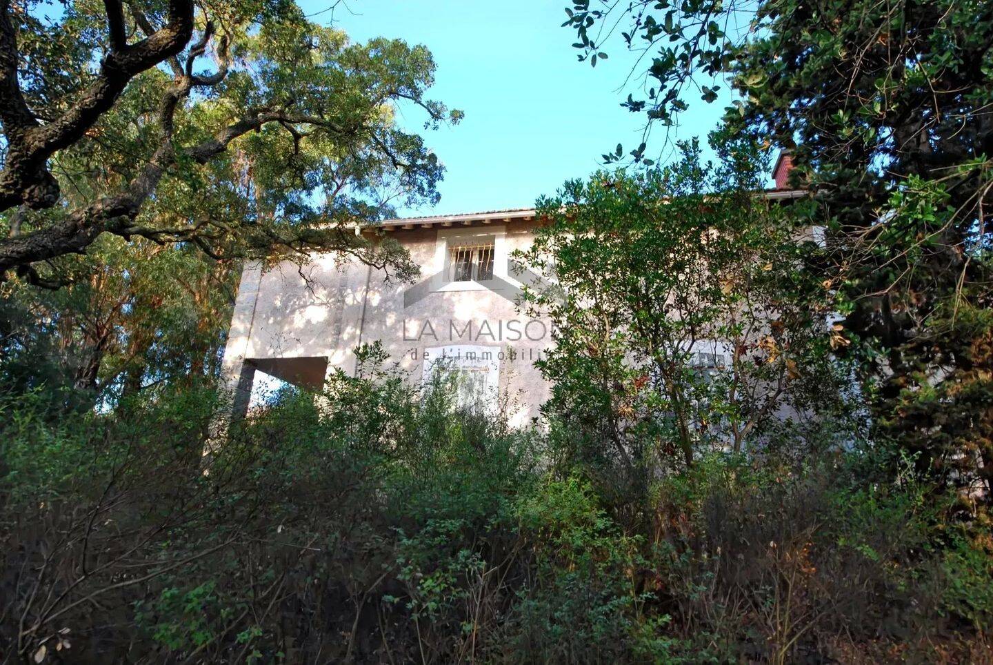 Maison 7 pièces 124 m² · à Zonza · 124 m² · 553 500 €