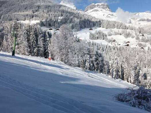 Appartement à vendre 129 000 € 2 pièces 1 chambre 24,3 m² Étage 1/1 Cordon 74700