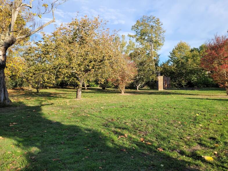 Terrain constructible à vendre 95 000 € 1 067 m² de terrain Nord Auterive 31190