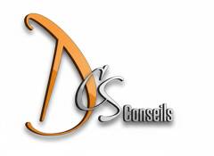 DCS CONSEILS logo