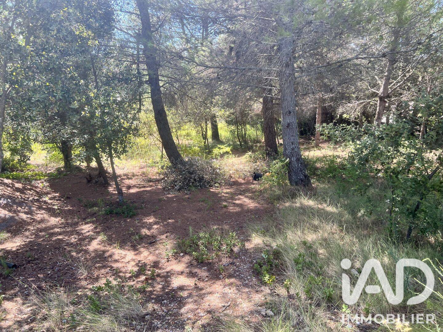 Terrain de 749 m² à Villeneuve-Minervois - photo 2