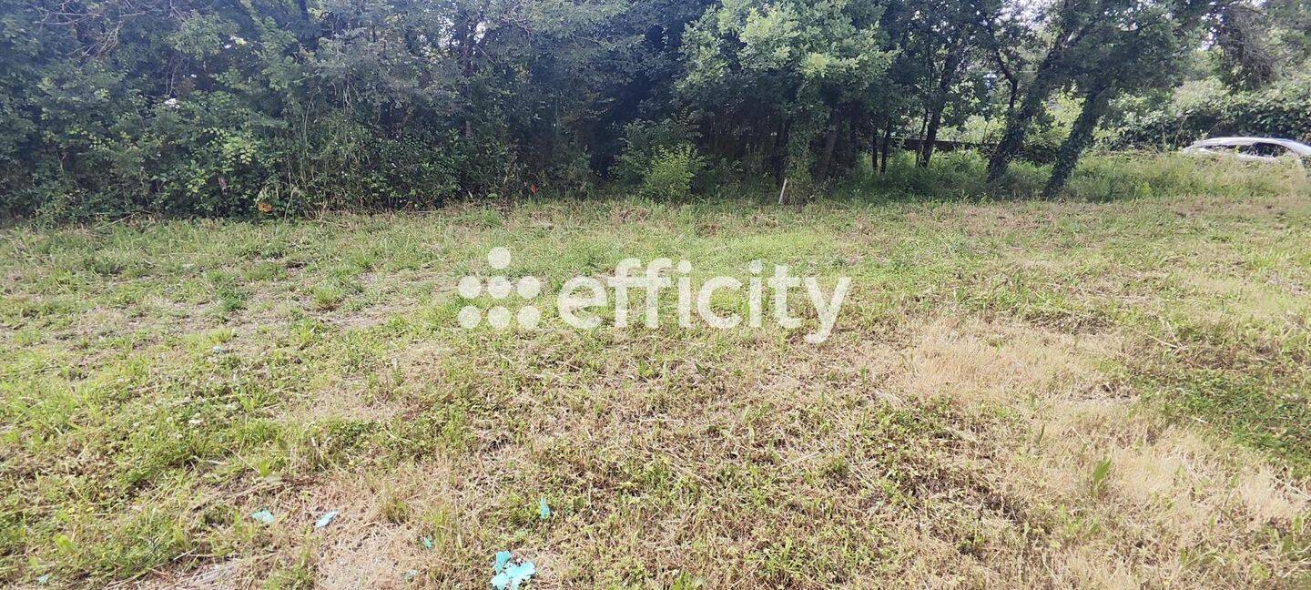 Terrain de 338 m² à Bretignolles-sur-Mer - photo 2