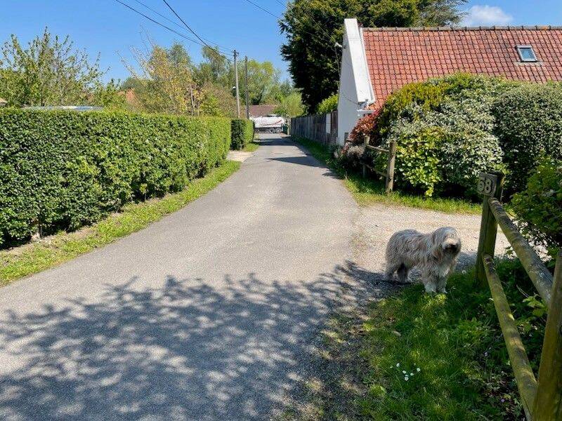 Maison 5 pièces 120 m² · à Brêmes · 120 m² · 305 000 €