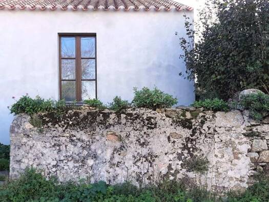 Maison à vendre 310 300 € 3 pièces 2 chambres 50 m² 123 m² de terrain L'Île-d'Yeu 85350