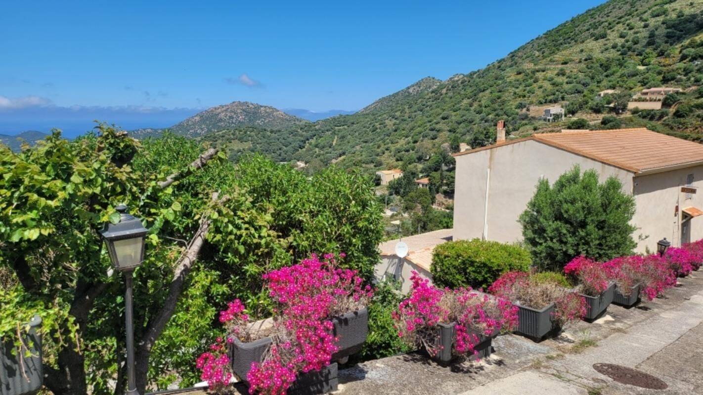 Maison 14 pièces 337 m² · à Belgodère · 337 m² · 1 685 000 €