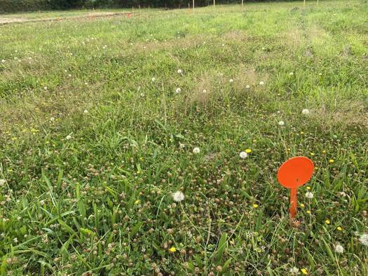 Terrain constructible viabilisé à vendre 75 000 € 471 m² de terrain Saint-Pabu 29830